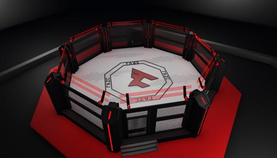 Faze Octagon (WIP)