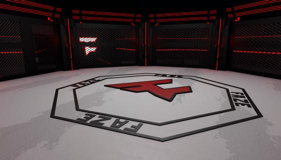 Faze Octagon (Small)