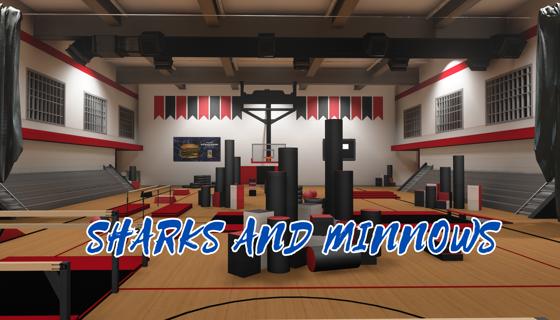 Thumbnail: Gymnasium | Sharks and Minnows