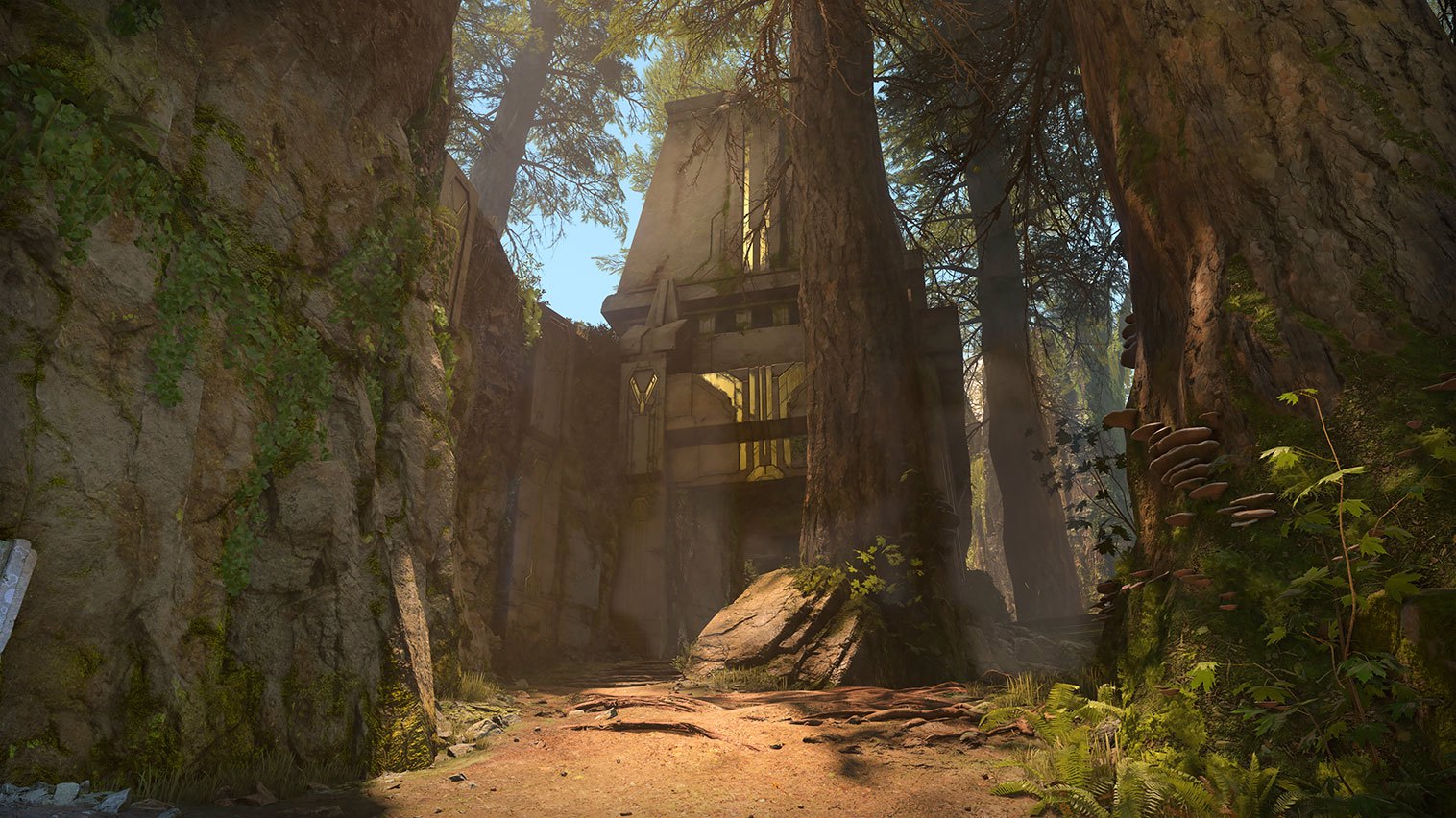 Forest multi