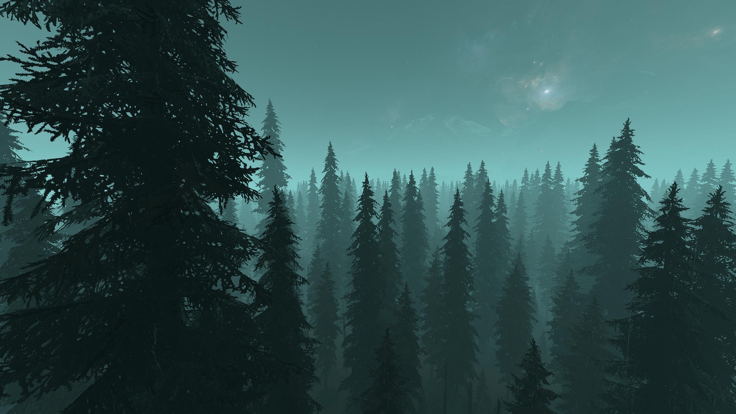 nature
