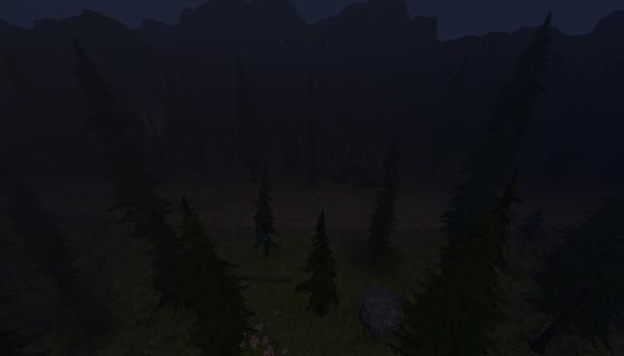 Image: Emerald Forest (Night)