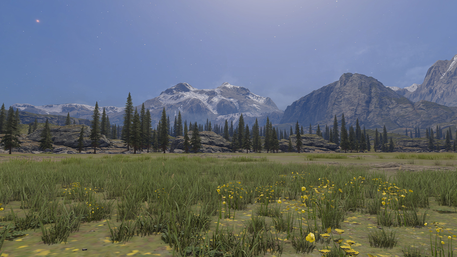 The base