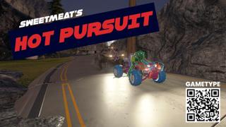 Image: Christmas Lakeland Pursuit