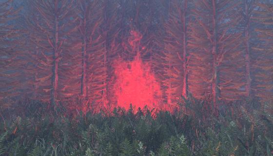 Image: Darkfire: Blackwood