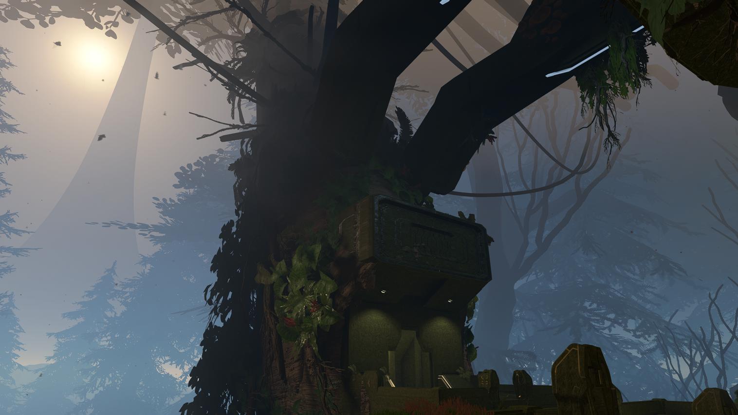 Canopy - Ranked
