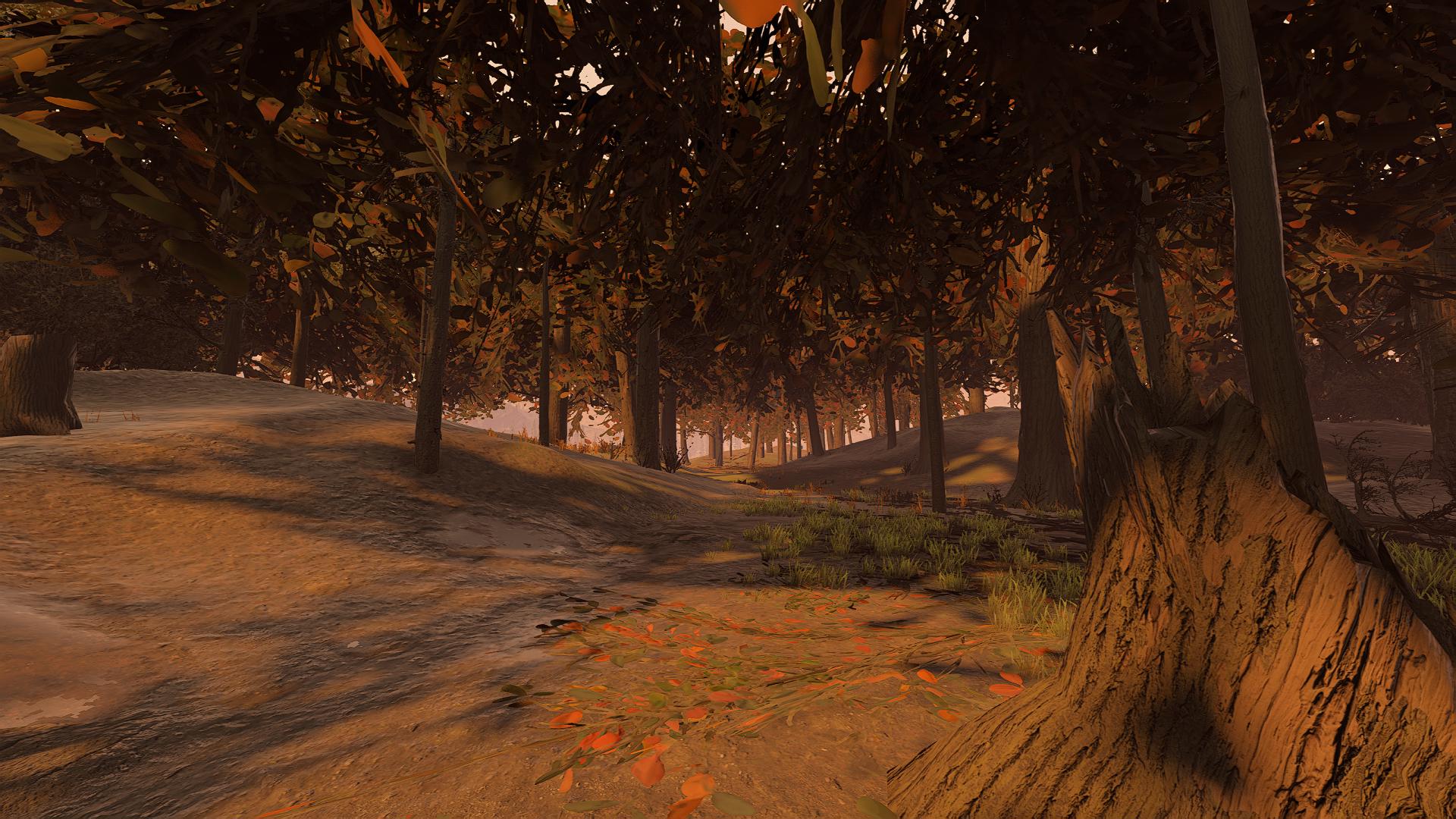 nature