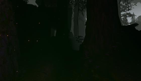 圖片來源： Forest