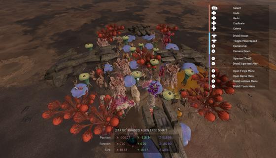 Image: Jungle fungus