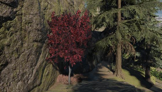Thumbnail: Autumn Tree 2 (Red)