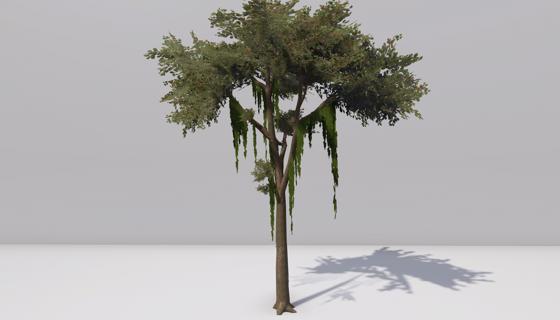 Thumbnail: Jungle tree
