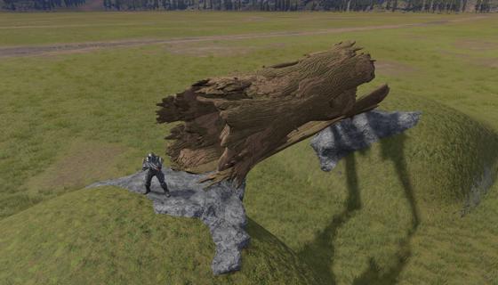 Image: Hollow Tree Trunk - A