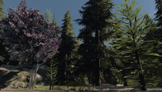 Thumbnail: Cherry Blossom Tree