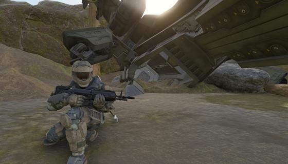 Thumbnail: Crashed pelican