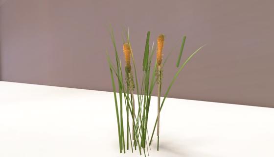 Cattails Upgraded