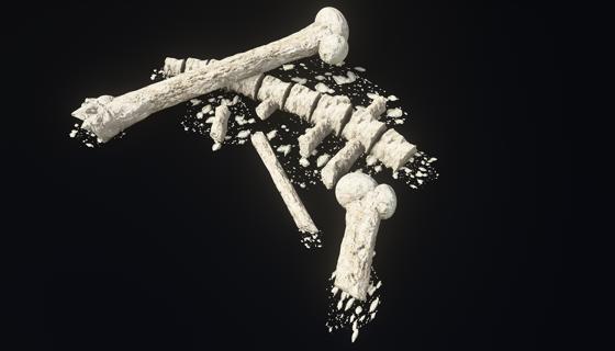 Image: PREFAB bones