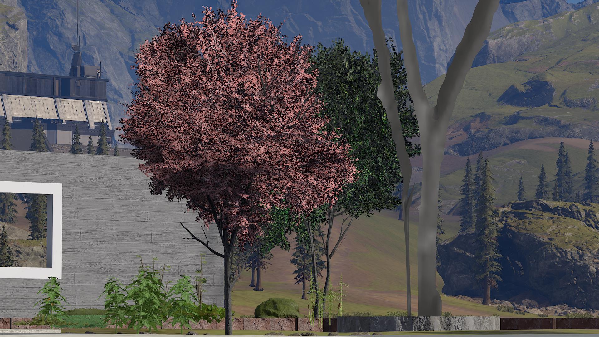 nature