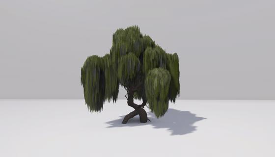 Thumbnail: Willow tree