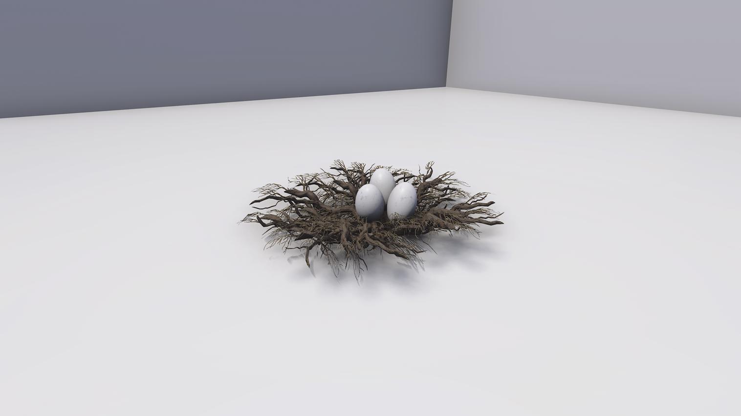 Nest