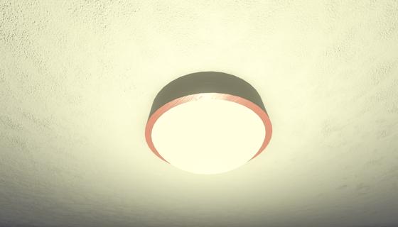 Ceiling Light