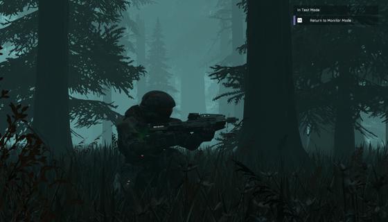 Image: Hidden Forest