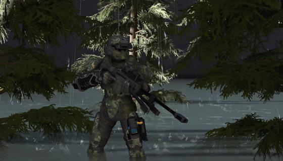Image: Bosque:CTF